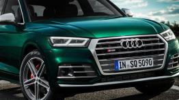 Nowe Audi SQ5 w dieslu i z elektryczną sprężarką