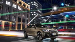 BMW X6 III (2019) - widok z przodu