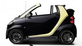 Smart fortwo II Cabrio edition MOSCOT (2015) - lewy bok