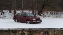 Volkswagen Vento 1.9 TDI 110KM 81kW 1996-1998