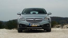 Opel Insignia Country Tourer 2.0 - galeria redakcyjna - widok z przodu
