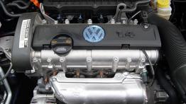 Volkswagen Polo V Hatchback 5d - galeria społeczności - silnik