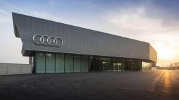 Audi Driving Experience - łamanie własnych ograniczeń