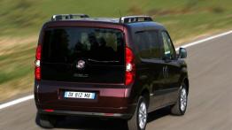 Fiat Doblo 2010 - widok z tyłu