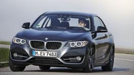 BMW 220i Coupe Sport Line (2014) - widok z przodu