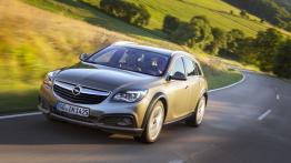 Opel Insignia Country Tourer (2013) - widok z przodu