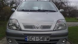 Renault Scenic I Minivan 1.4 i 16V 95KM 70kW 1999-2001
