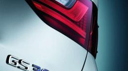 Lexus GS 300h Business Edition - dla prezesa