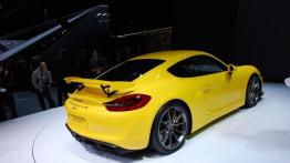 Porsche Cayman GT4 - tańsza alternatywa dla 911?