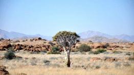 Skoda Yeti w Namibii - dzień 3 - podróż nad Atlantyk