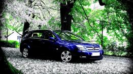 Opel Signum  Hatchback - galeria społeczności - prawy bok