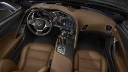 Chevrolet Corvette C7 Stingray Cabrio (2014) - pełny panel przedni