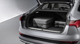 Audi e-tron Sportback - baga¿nik