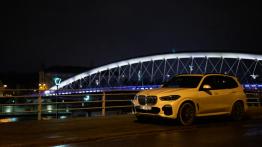 BMW X5 30d 265 KM - galeria redakcyjna - lewy bok