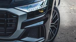 Audi Q8 50 TDI 286 KM - galeria redakcyjna (2) - widok z przodu
