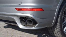 Porsche Cayenne S E-Hybrid - triumf techniki