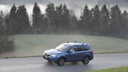 Subaru Forester IV - wersja europejska - widok z góry