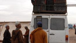  Expedycja Mahrab 2006