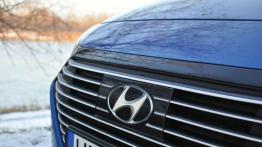 Hyundai Ioniq Hybrid – galeria redakcyjna