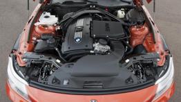 BMW Z4 Roadster Facelifting - maska otwarta