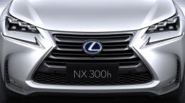 Lexus NX 300h (2014) - grill