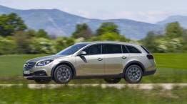 Opel Insignia Country Tourer (2013) - lewy bok
