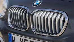 BMW 120d xDrive F20 Facelifting (2015) - grill