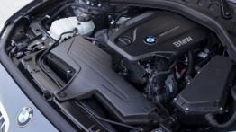 BMW 120d xDrive F20 Facelifting (2015) - silnik