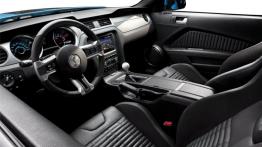 Ford Mustang Shelby GT500 Coupe 2013 - pełny panel przedni