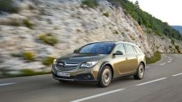 Opel Insignia Country Tourer (2013) - widok z przodu