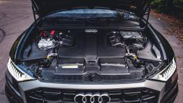 Audi Q8 50 TDI 286 KM - galeria redakcyjna (2) - silnik solo