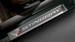 Chevrolet Corvette C7 Stingray Cabrio (2014) - listwa progowa