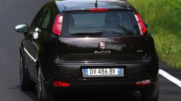 Fiat Punto EVO 3d - widok z tyłu