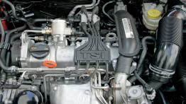 Volkswagen Polo 2009 - silnik