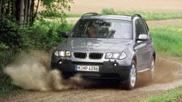 Czy warto kupić: używane BMW X3 E83 (od 2003 do 2010)