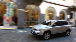 Jeep Compass 2011 - lewy bok