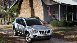 Jeep Compass 2011 - widok z przodu