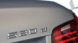 BMW serii 5 F10 Facelifting (2014) - emblemat