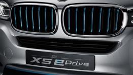 BMW X5 eDrive Concept (2013) - grill