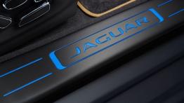 Jaguar XJ 2014 - listwa progowa