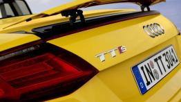 Audi TTS III Roadster (2015) - spoiler