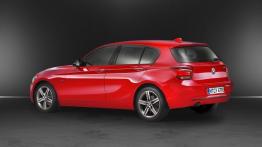 BMW 118i 2012 - lewy bok