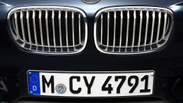 BMW 120d 2012 - grill