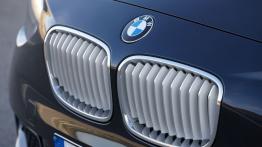 BMW 120d 2012 - grill