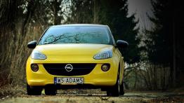 Opel Adam 1.4 100KM - galeria redakcyjna (2) - widok z przodu