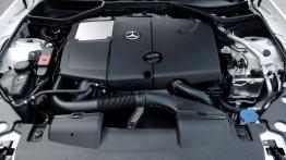 Mercedes SLK 250 CDI 2012 - silnik