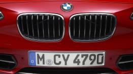 BMW 118i 2012 - grill
