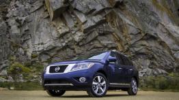 Nissan Pathfinder 2013 - lewy bok