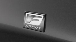 Lexus LS 460 F-Sport (2013) - emblemat boczny