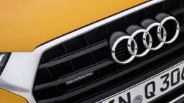 Audi Q3 TDI Facelifting (2015) - logo